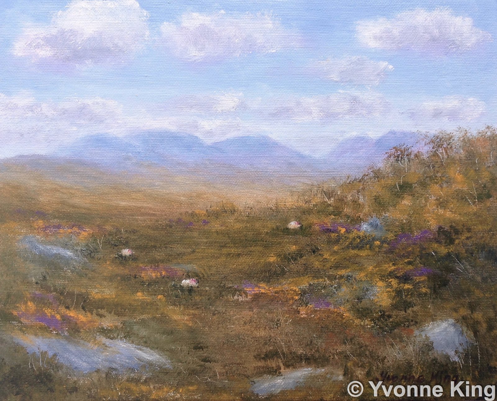 Sheep in the Heather, Connemara, by Yvonne King, 10"x8", Oil